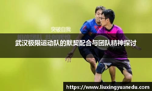 武汉极限运动队的默契配合与团队精神探讨