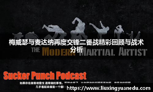 梅威瑟与麦达纳再度交锋二番战精彩回顾与战术分析