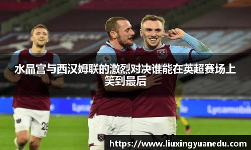 水晶宫与西汉姆联的激烈对决谁能在英超赛场上笑到最后